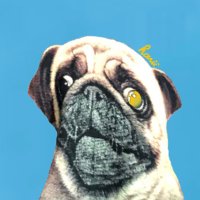 ハルシウム (@haru_jazzsax) 's Twitter Profile Photo ハルシウム (@haru_jazzsax) 's Twitter Profile Photo