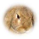 Carmel Hall - @carmelhall123 - Twitter