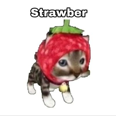 iberry 🍓✨さんのプロフィール画像