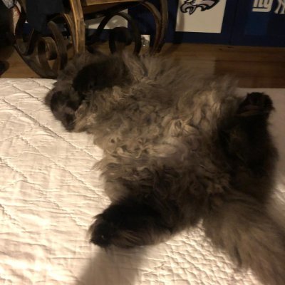 SantiagoMo7640's profile picture. 