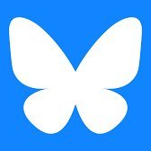 Bye X. Missing Twitter. Gone to Bluesky. This account won't be deleted, as I hope that sometime this platform will be back from the ashes.
