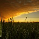 Andrew Inglis - @and232ing - Twitter