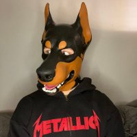 🐾🖤Pup Nettie🖤🐾 (@nettohvalpen) 's Twitter Profile Photo