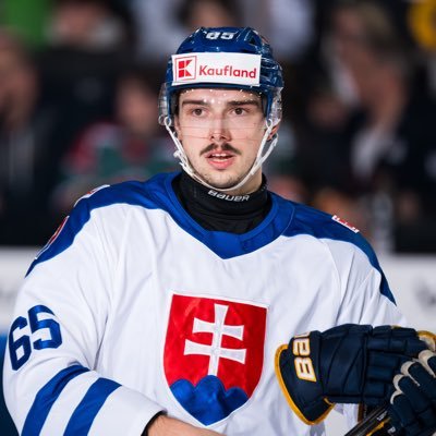 Dávid Romaňák