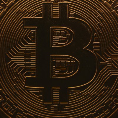 CryptonitX4's profile picture. 