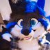 ѕку (@sky_mitou) Twitter profile photo
