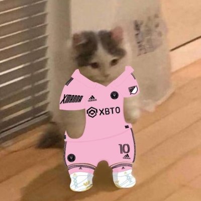 0bey_lol's profile picture. Bývalý manažer @team_meliora | IG: https://t.co/JnfyZwBlzf | Discord: obey._ | 20 y.o.