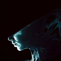 CosmicDreadProductions (@dread_cosm35915) 's Twitter Profile