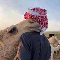 عشريني مملوح 🇰🇼🇸🇦 (@jaber144_) Twitter profile photo