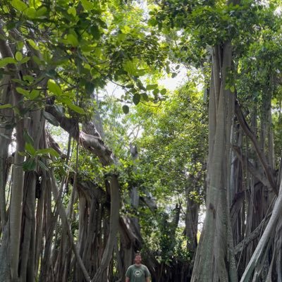 CoreyEngineer's profile picture. Professional optimist. Bourbon stuff at @bourbinfo. Enjoyer of science, engineering, & architecture