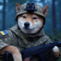 Tim 🇺🇦🇪🇺 △ (@tim_t_w) 's Twitter Profile