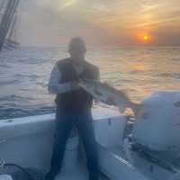 Apollo (@alanalb85017226) 's Twitter Profile