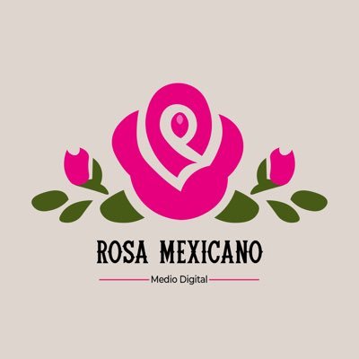 Creación de contenido digital.