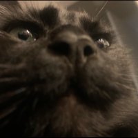 Byrd (@oddlookingduck9) 's Twitter Profile Photo Byrd (@oddlookingduck9) 's Twitter Profile Photo