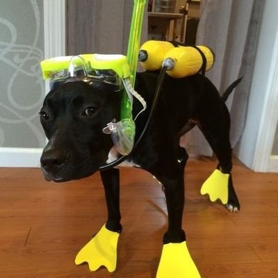 QuarzoRoberts's profile picture. artist (sometimes)
most of the time I do not exist.
I repost horny stuff.