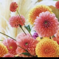 サキ (@saki_422010) 's Twitter Profile Photo