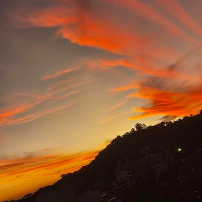 ReinelliJ1's profile picture. 