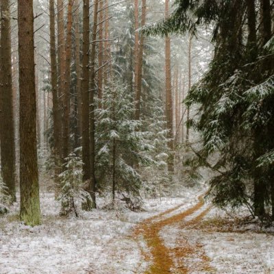 dxmgreen's profile picture. 