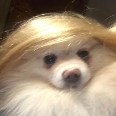 myron_diane's profile picture. 