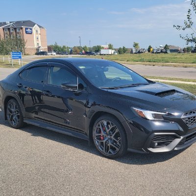 gymshady's profile picture. 