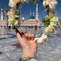 qs_CEO (@nanar_h) 's Twitter Profile