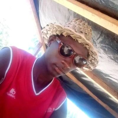 WilfredNesh254's profile picture. 