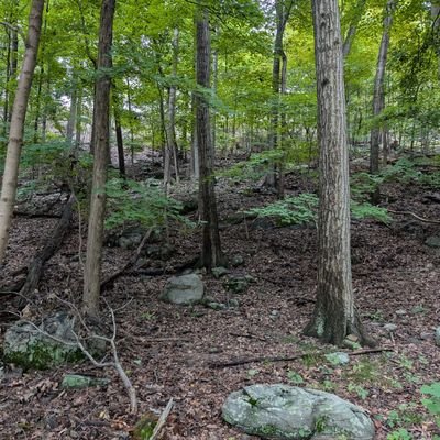 Lukin_101's profile picture. touch me, I'm sick