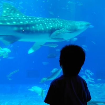 いろんな情報発信できればです。
楽天モバイルの紹介もしてます。月額安くなるし、ポイント貯まるしおすすめです。