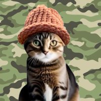 $CWIF Army 🎩 (@cwifarmy) 's Twitter Profile