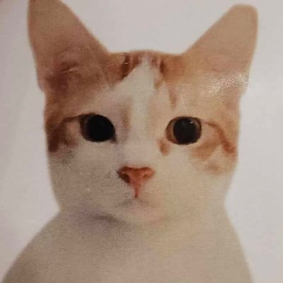 Beyond Shiuryさんのプロフィール画像