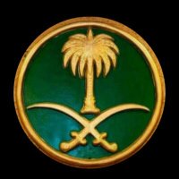 أحمد (@ahmadalfyad116) Twitter profile photo