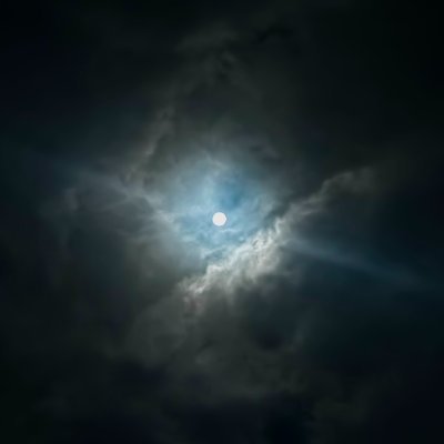 nitepng's profile picture. 