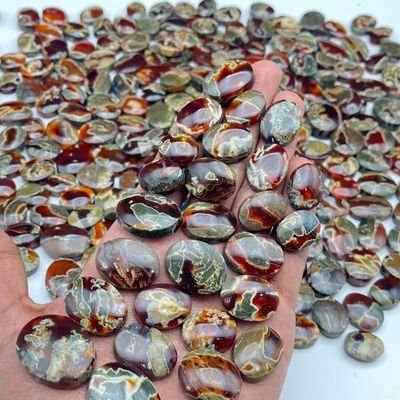 akramal_shlabi's profile picture. أنا تبع الأملاك من نسل حمير
ملكنا عباد الله في الزمن الخالي
ملكناهم قهرا و سارت جيوشنا
إلى الهند والأتراك ترى بأبطال