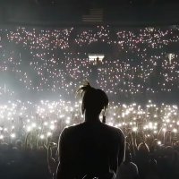 MySteall (@mysteall) 's Twitter Profile