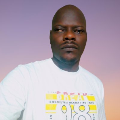 Mr. Sodiq | Wordpress Developer Profile