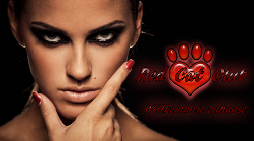 TheRedCatClub's profile picture. Willkommen im Red Cat Club. Hier findet ihr Informationen Rund um die schönste Sache der Welt.