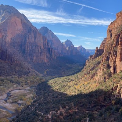 setandforget444's profile picture. Day Trader and Looking into Coins  #SETANDFORGET