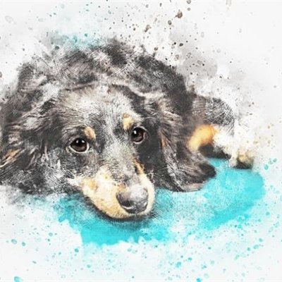 JGSVtfY4Uq6UW8L's profile picture. お金の悩み解決術やお得な情報など発信中。自身がお金に苦労したので生活に困っている人の力になれればと思い、少額ですが現金給付企画を始めました。 期間限定⇒ https://t.co/Zx3T8a4fvl