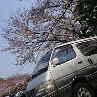ちゃん先生 (@178bzchan) 's Twitter Profile