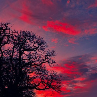 umar_assalafi's profile picture. من سلك طريقا يلتمس فيه علما سهل الله له به طريقا إلى الجنة