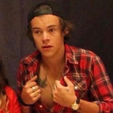 folklorenarri's profile picture. full time harry styles defender