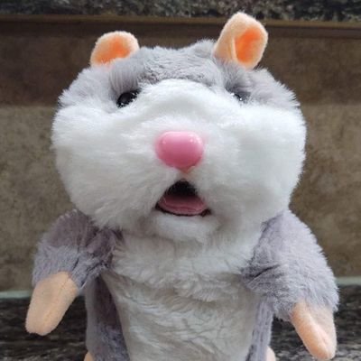 schla94431's profile picture. 