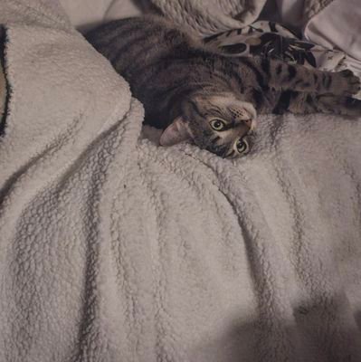 BritneyAlyss's profile picture. Everyone has there story.