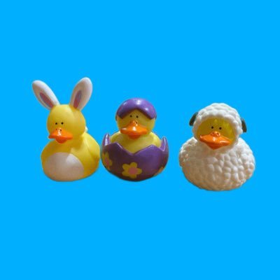 鳥大好きです🐣全く鳥に興味なかった旦那がキンカチョウに魅了されて今は4羽と仲良く暮らしています🌼キンカチョウのあんちゃん、プンちゃん、こまめちゃん、おもちちゃんです