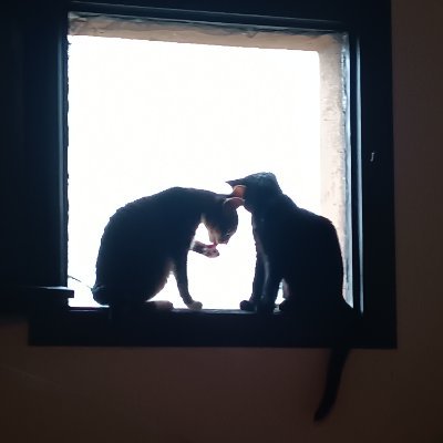 helen120610's profile picture. 