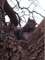 shannonhummel's profile picture. happy