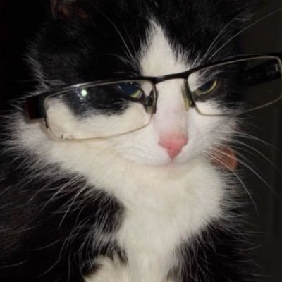 mcnama731's profile picture. tronkas! & dwwl fan acc