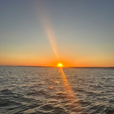 ShawSteel6550's profile picture. 