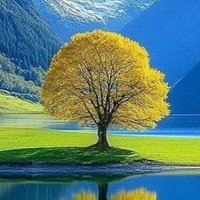 もこりた (@sfd3pypgcu25772) 's Twitter Profile