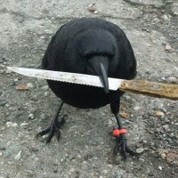Maximus (@cronos_maxi_) 's Twitter Profile Photo
